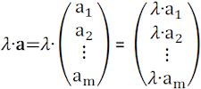 Multiplikation Skalar